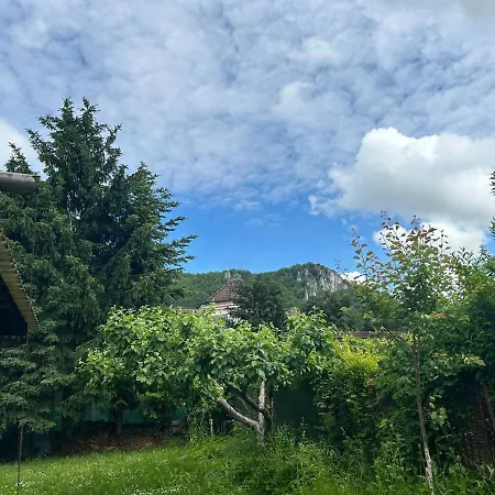 Tatil Evi Gabriela